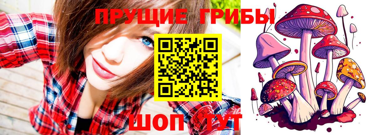 Псилоцибиновые грибы Cubensis  Вход с VPN  Балаково 